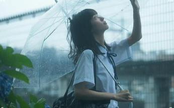吃瓜必备攻略：51cg10资源详细讲解