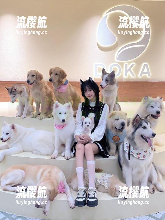 51吃瓜官网登录，苹果版助你轻松追热点，快来加入我们吧