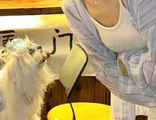 想要快速吃瓜？zztt01苹果版让你掌握八卦热点一步到位！