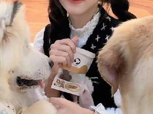 九色91黑料蝌蚪网站上线免费吃瓜专区，尽享各种精彩信息吧！