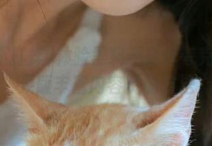 体验黑料不打烊夸克入口苹果版丰富内容资源方法