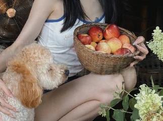黑料不打烊网站是多少？每日网页更新速递指南